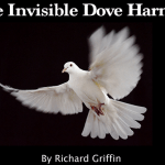 Harnais Invisible Colombe - Griffin