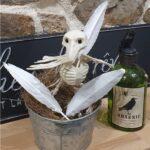 Plumes papier flash-Flash Feathers