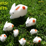 3D Bunnies
