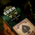 EDEN - Sylvain Mirouf – Image 3